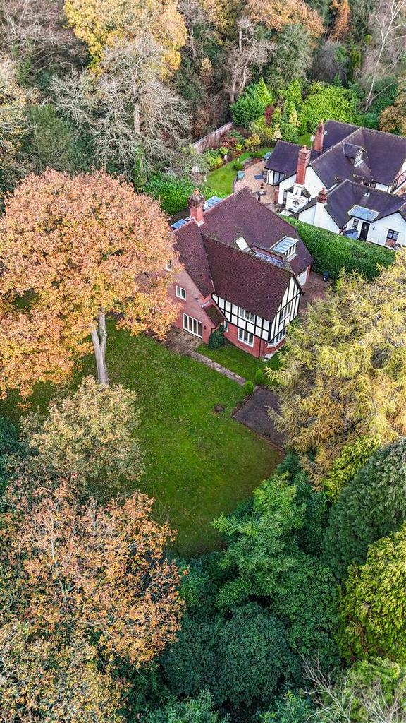 Dji 20251119101429 0773 d.JPG