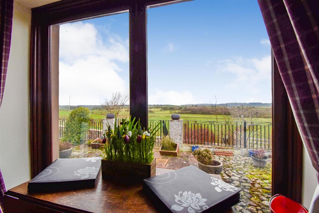 Living Room View