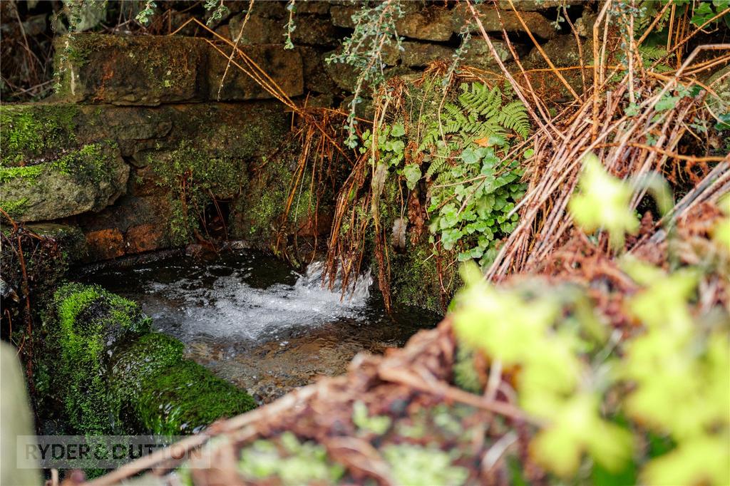Brook