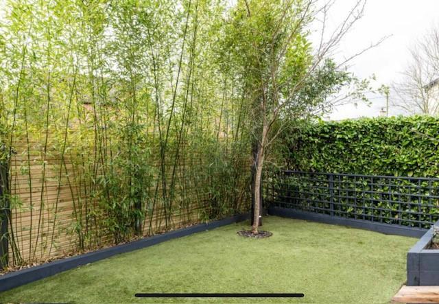 Garden.jpg