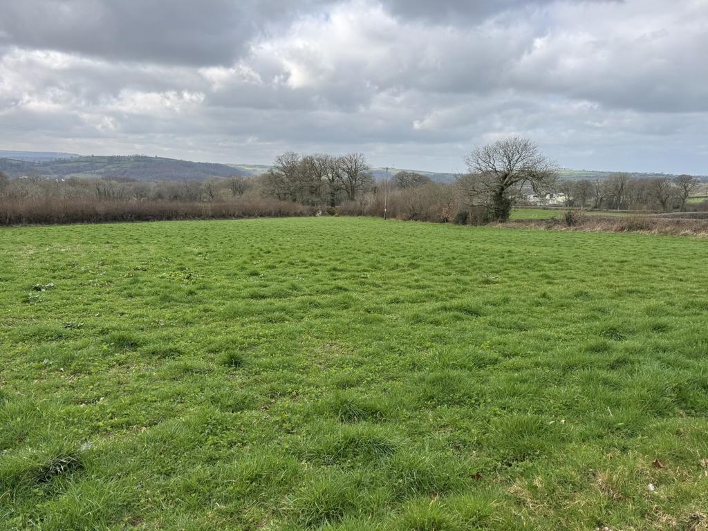 The Land