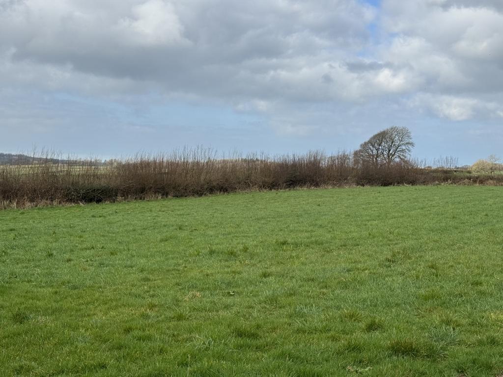 The Land