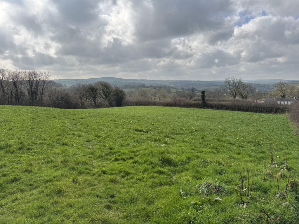 The Land