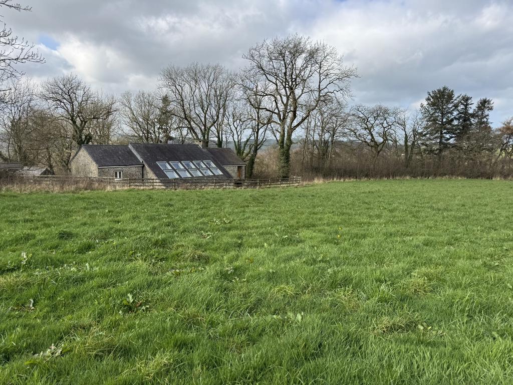 The Land