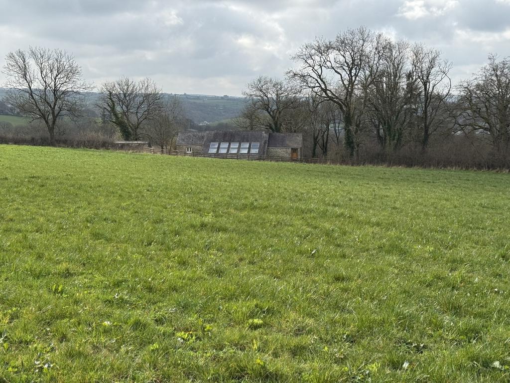 The Land