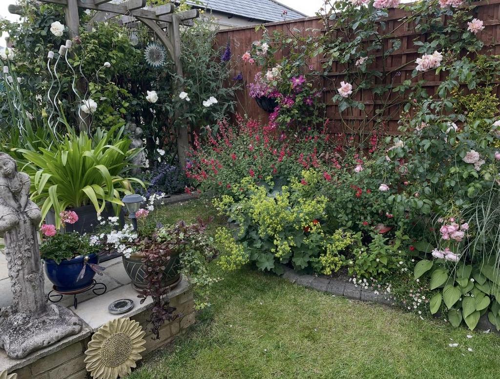 Garden 5.jpg