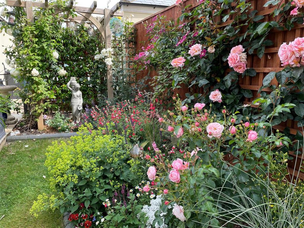 Garden 6 June.jpg