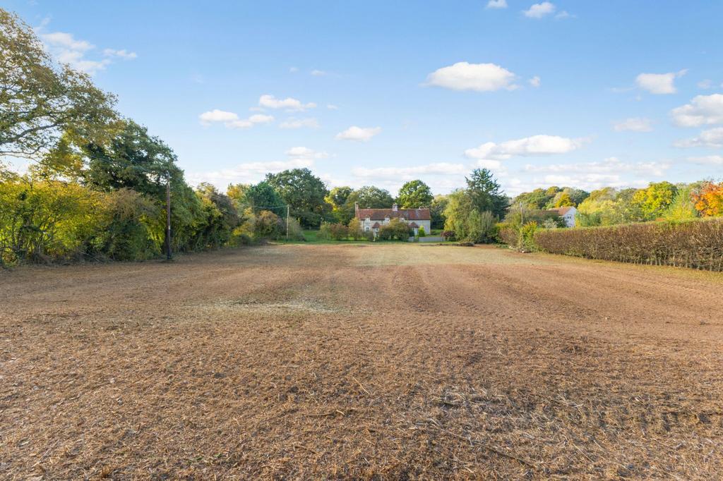 Picture No. 31