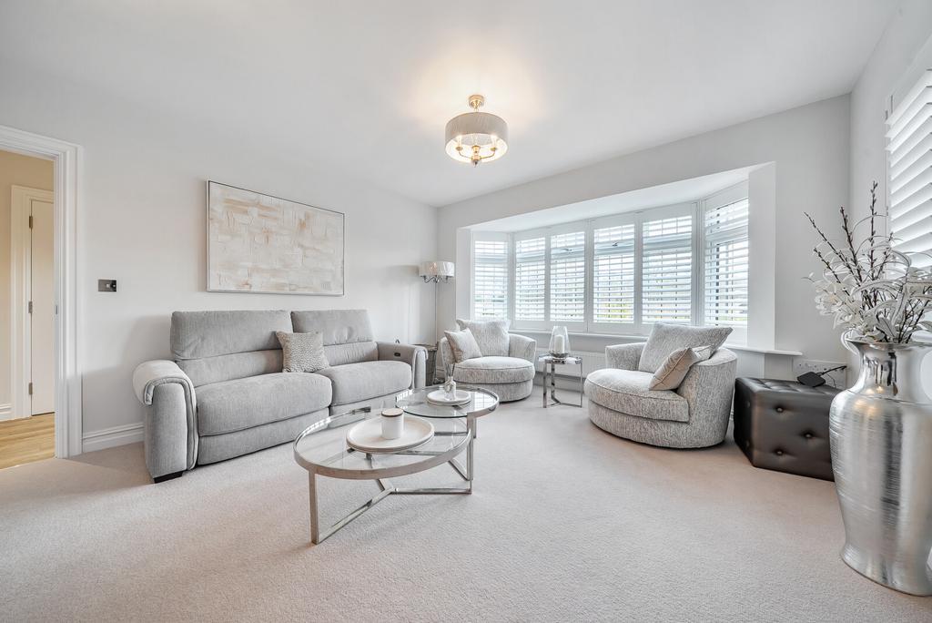 Picture 17