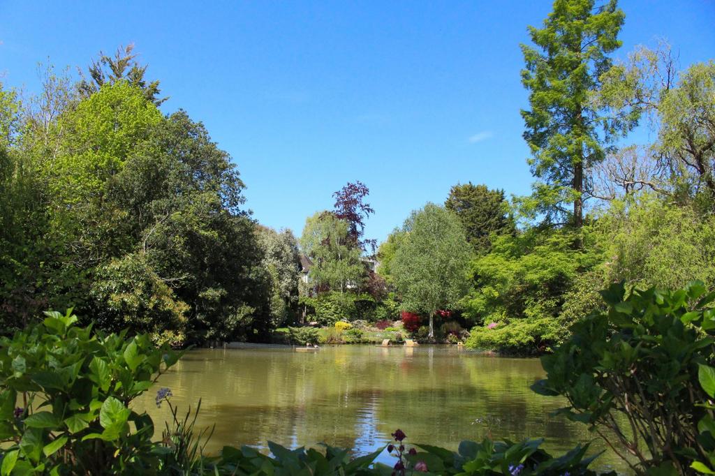 Garden view, garden