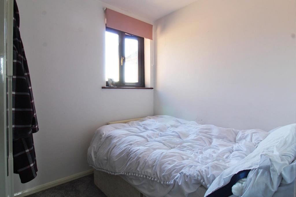 IMG 2431 in Pixio.jpg