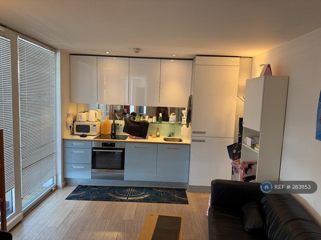 Kitchen/Living Space