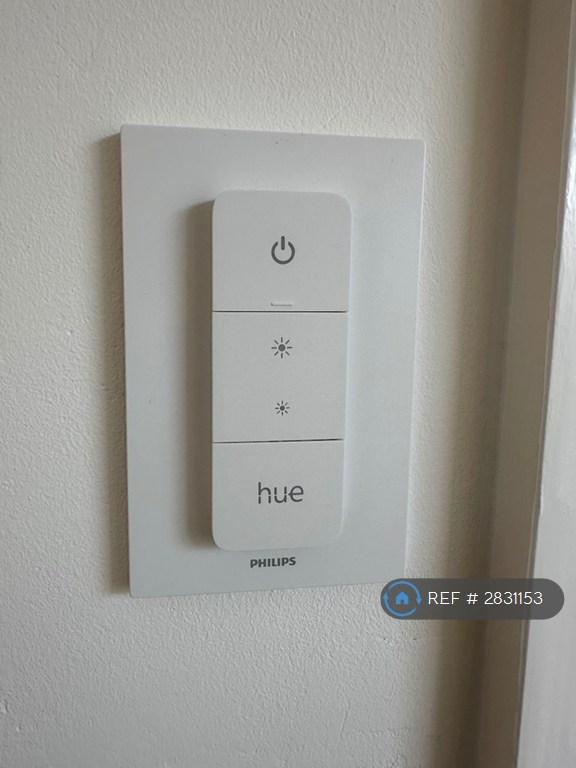 Hue Smart Lighting Throughout