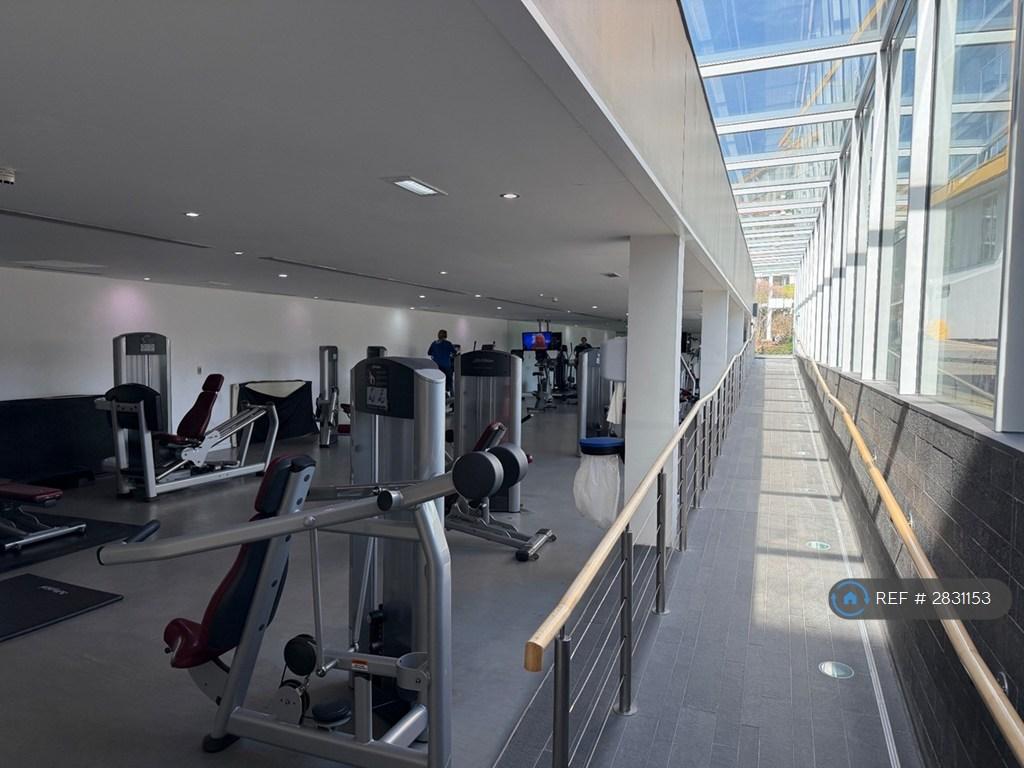 On-Site Gym