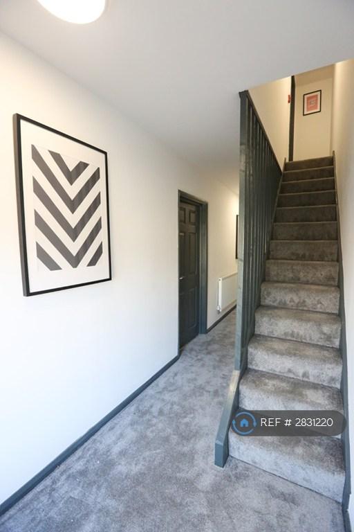 Professional Hmo