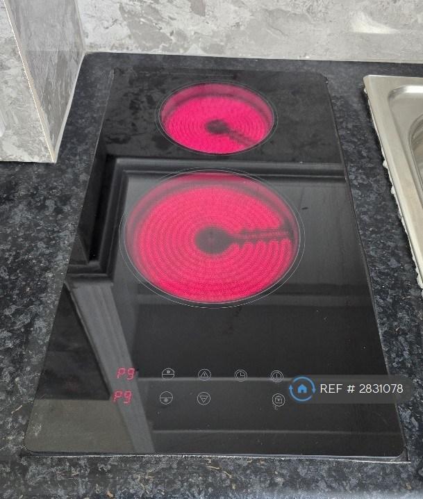 Halogen Hob