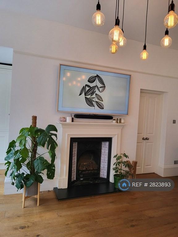 Fireplace And Tv Area