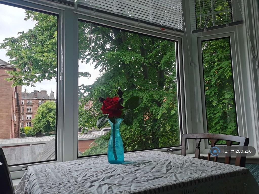 Living Room Window