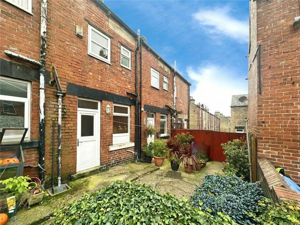 Back Garden