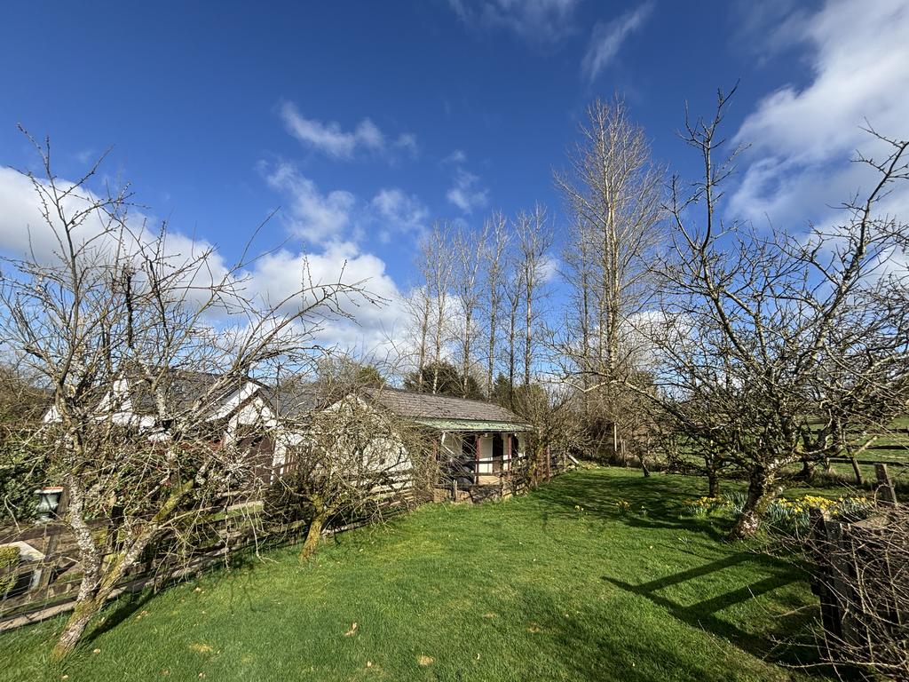 Mature fruit tree orchard