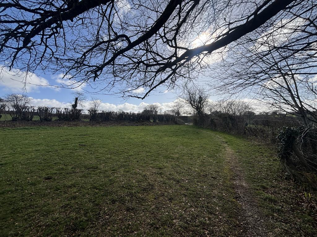 Paddock (third image)