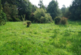 Additional image 39 of Cwmann, Lampeter, SA48