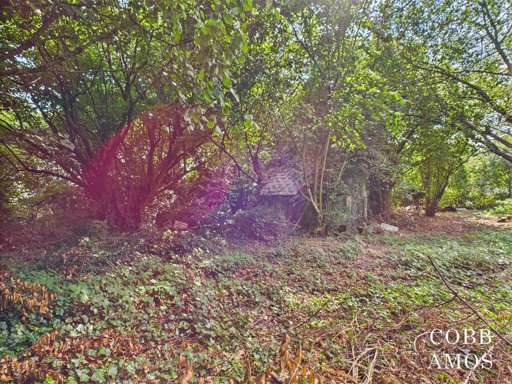 CAM02803 G0-PR0217-STILL015.jpg