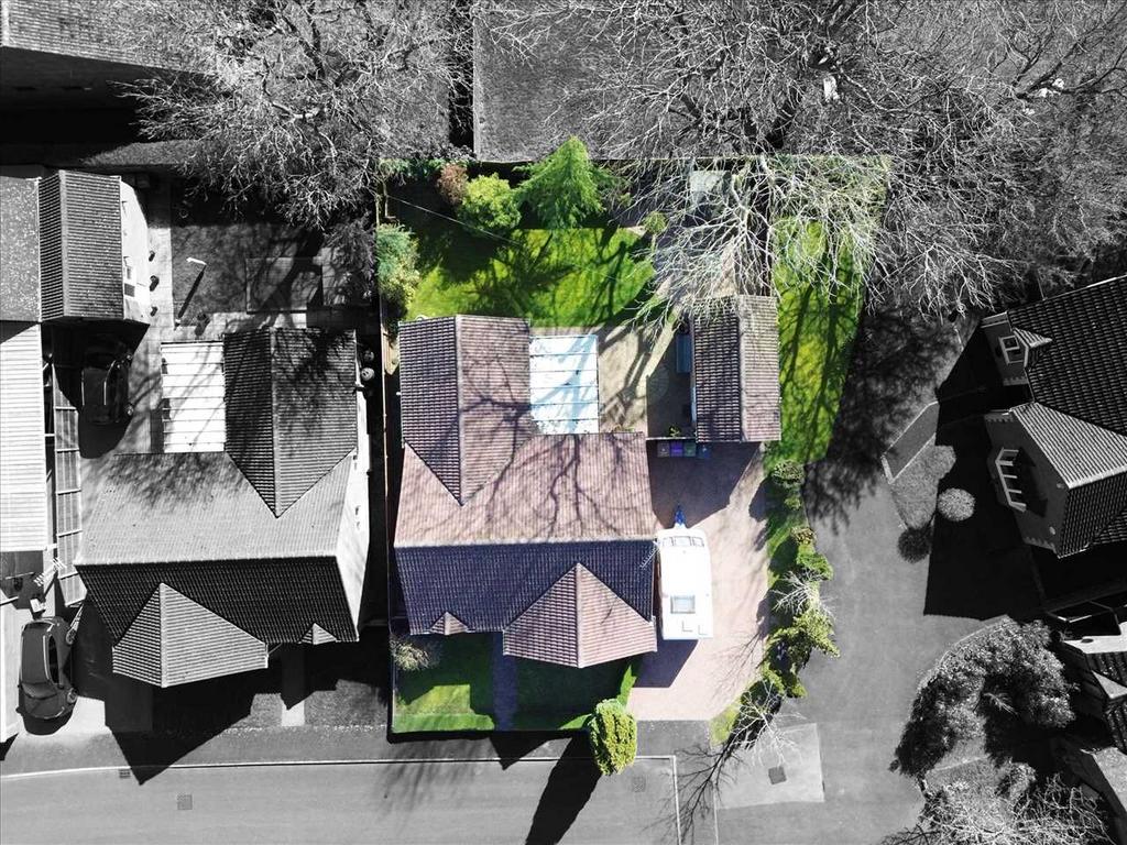 Aerial View of Plot: