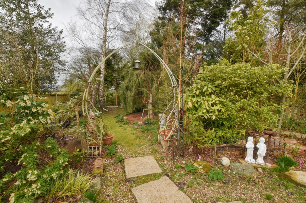 Rear Garden 3