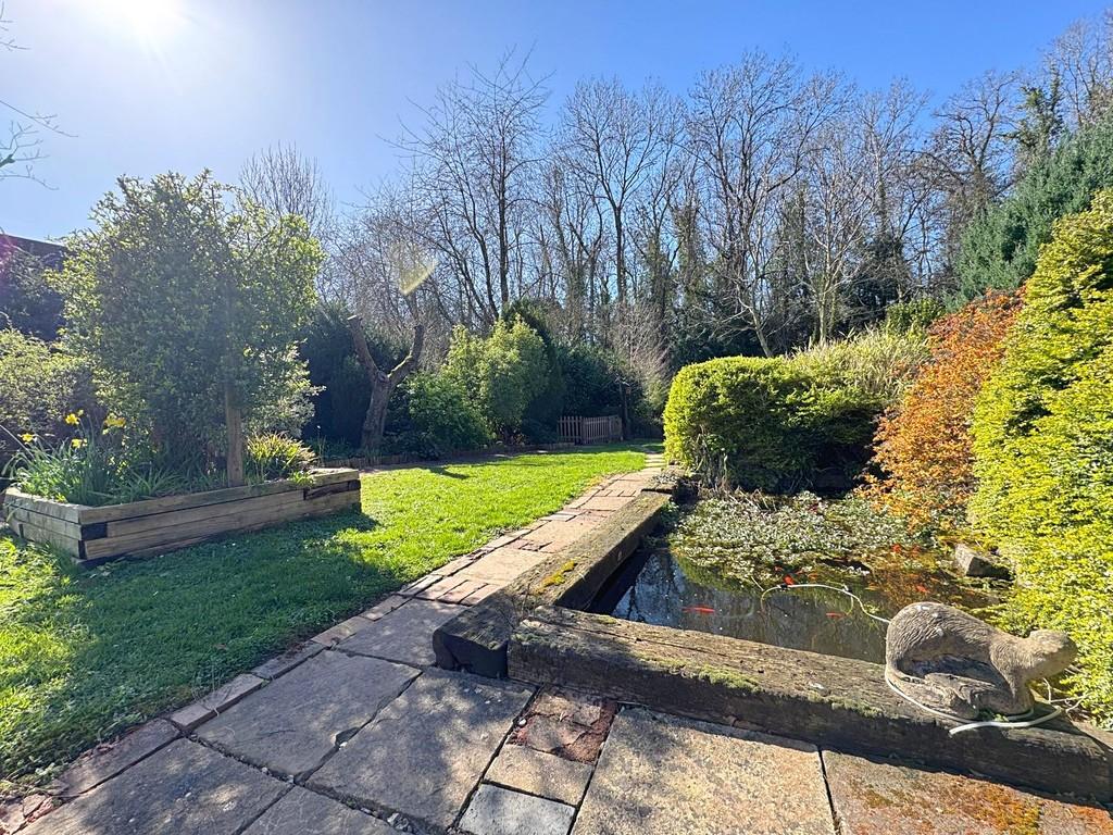 Garden pond