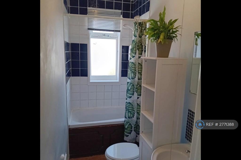 Bathroom Off Living Room With Over Bath Shower