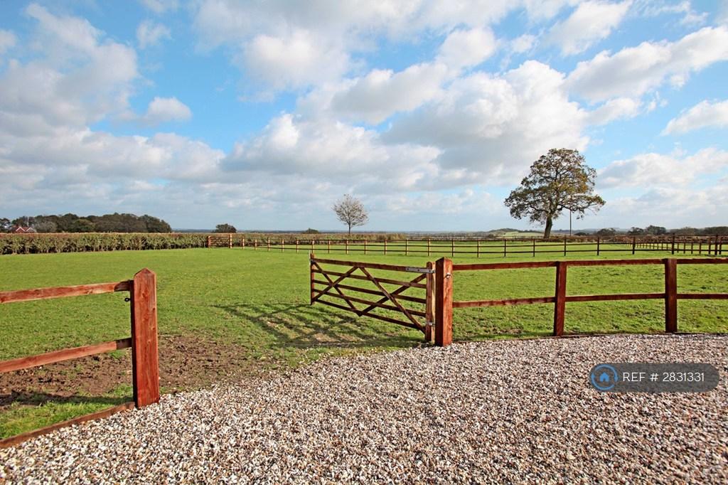 Roadway Gate Into Paddock