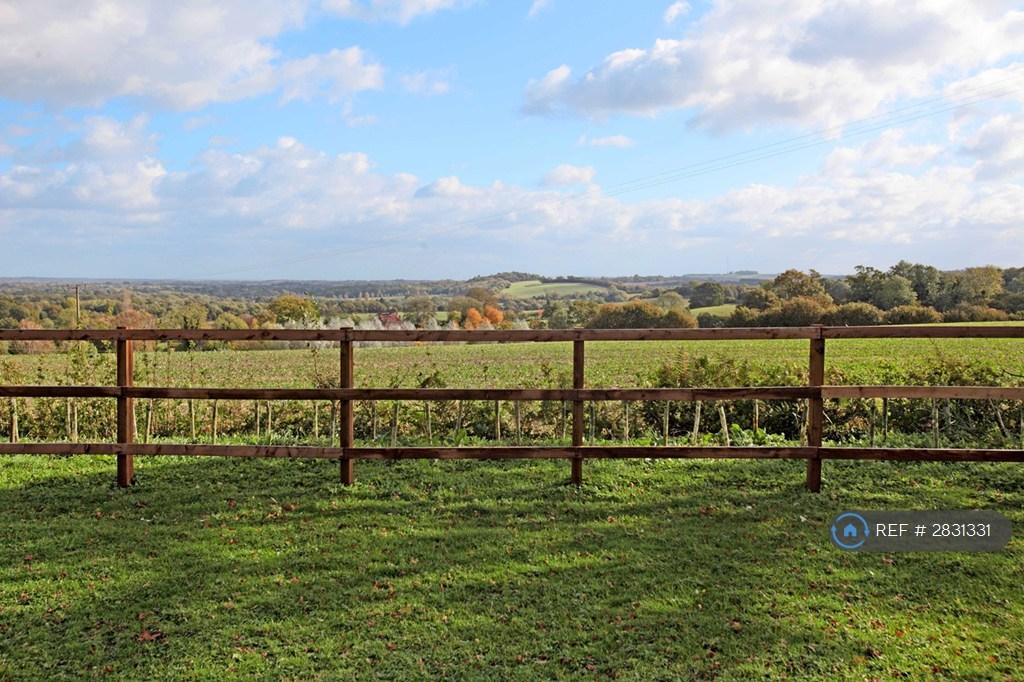 View Of Watership Down