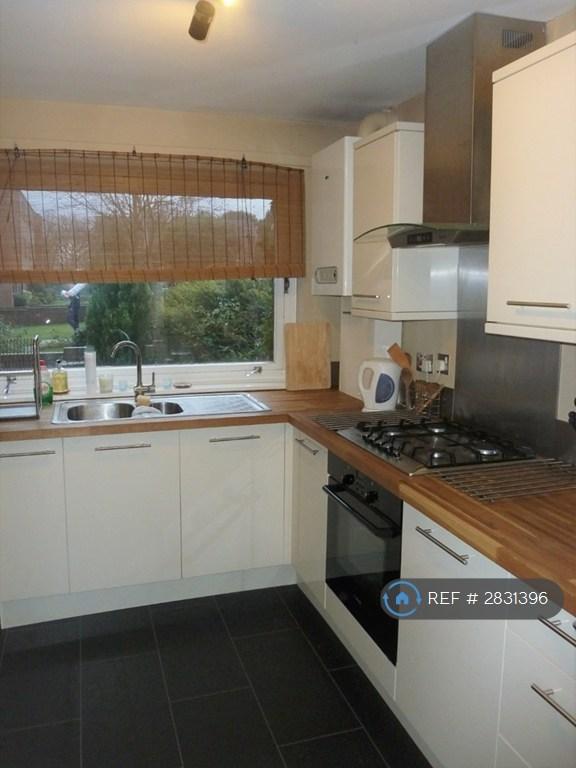 Modern Kitchen