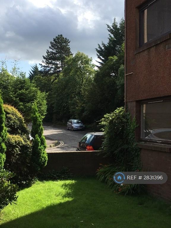 Rear Garden Area
