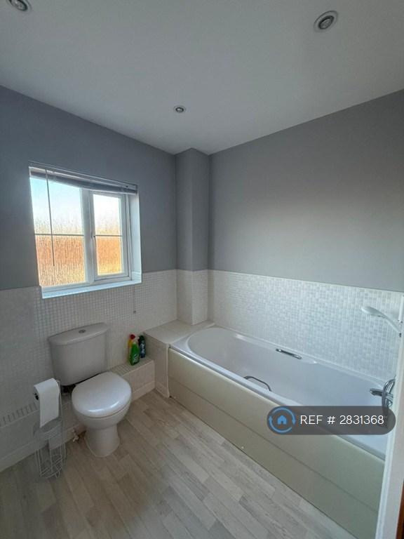 Main Bathroom