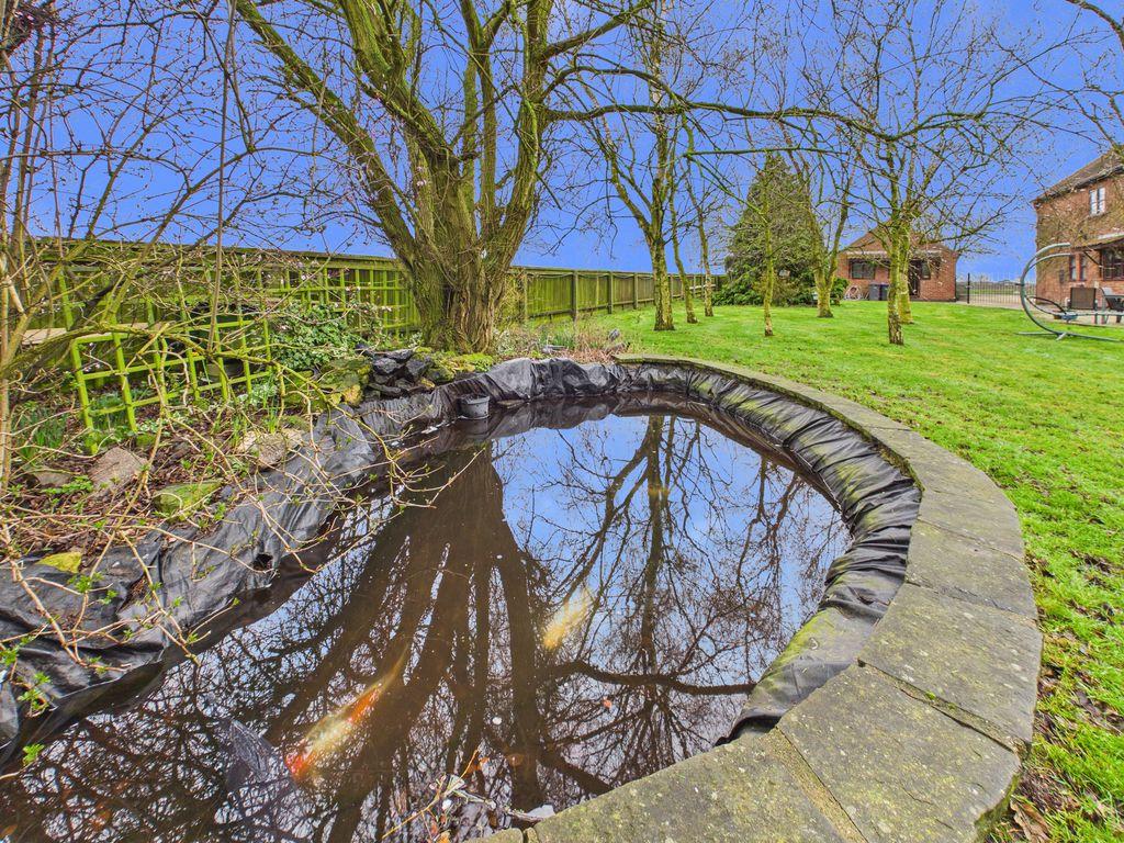Garden/Pond