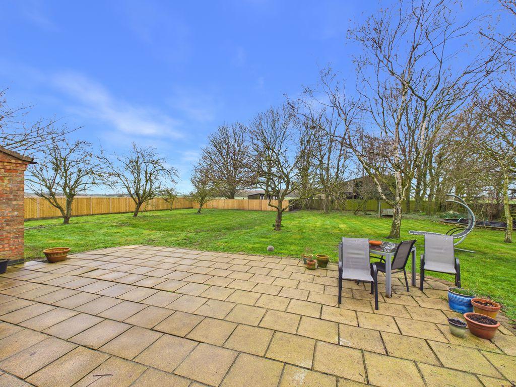 Patio Area/Garden