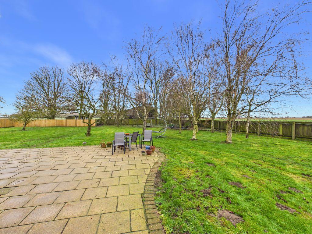 Patio Area/Garden