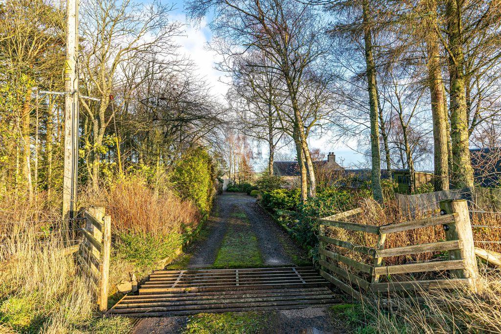 Driveway Entrance
