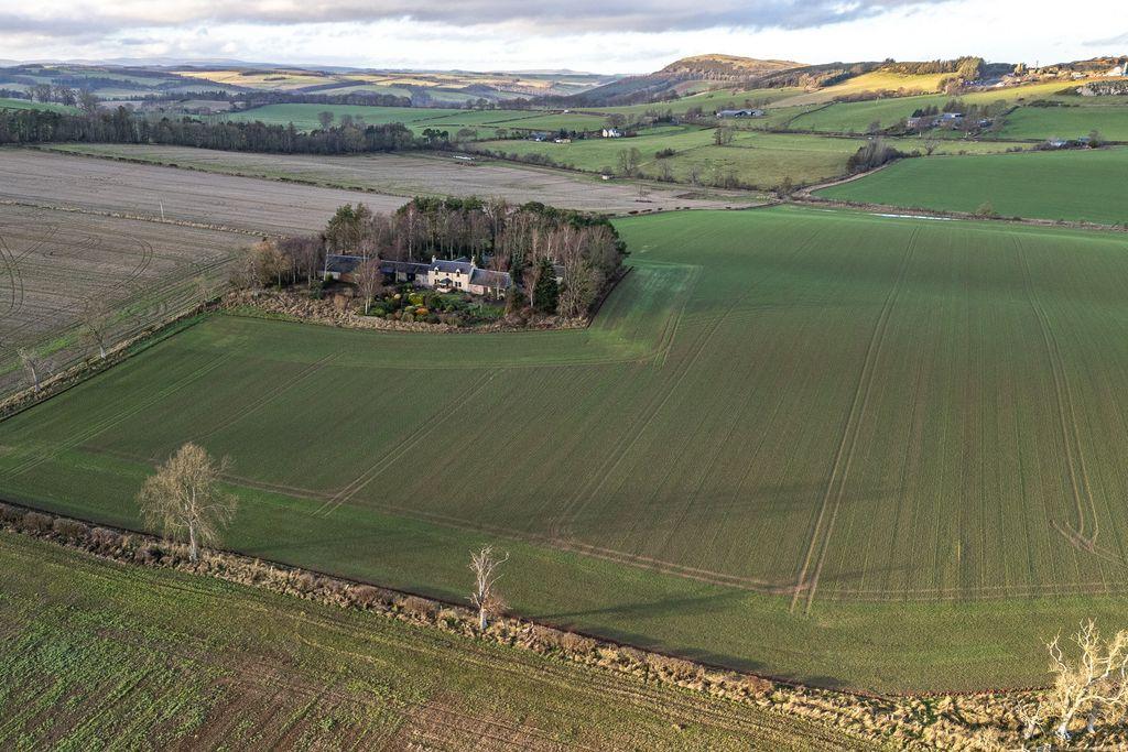 Aerial Photograph