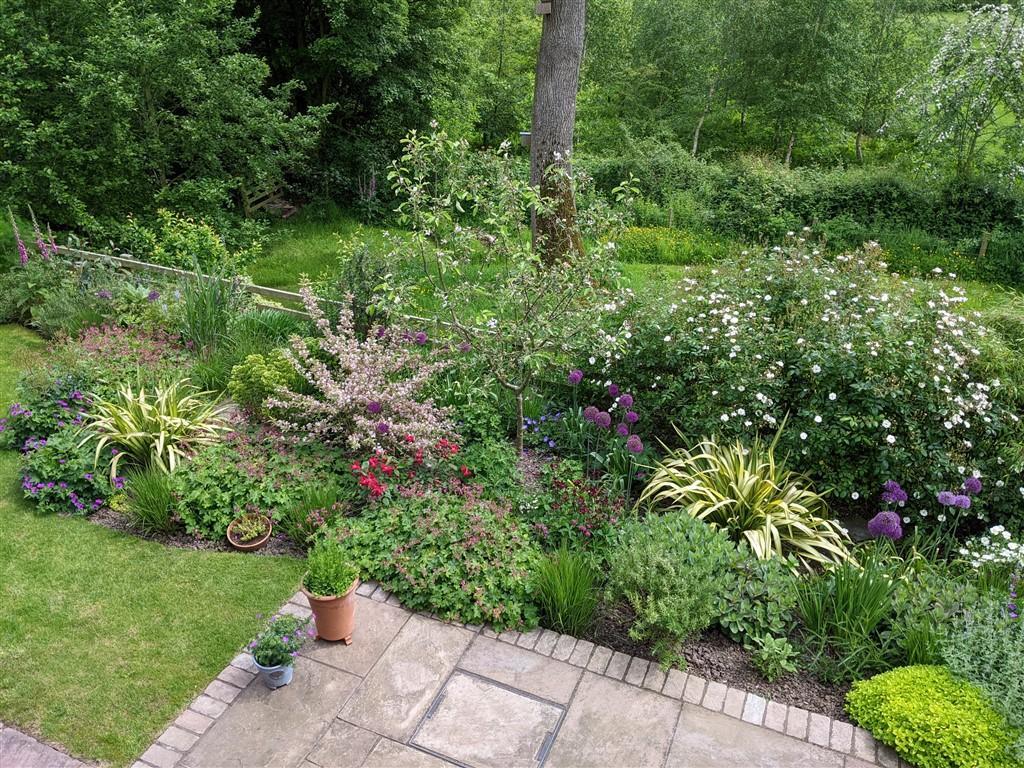 Photo 25