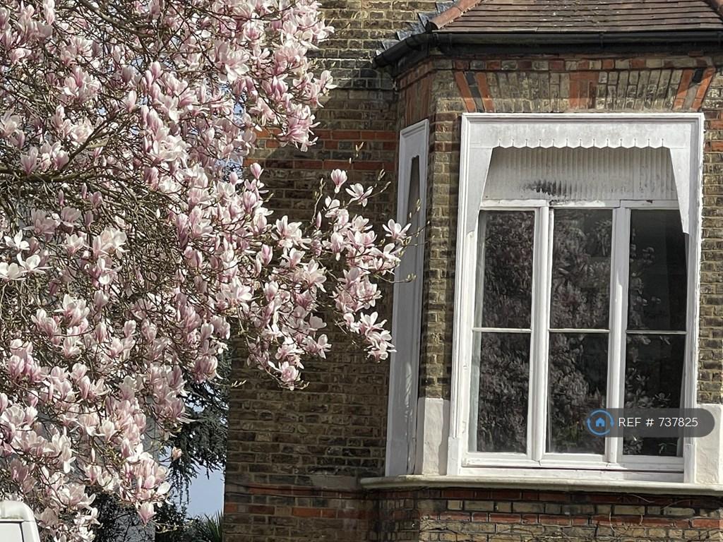 Living Room Window