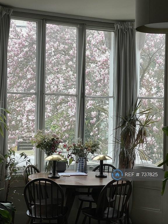View From Living Room Window