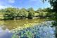 Additional image 60 of Seven Characterful Cottages & 4.5 Acres, West Down, Devon, EX34