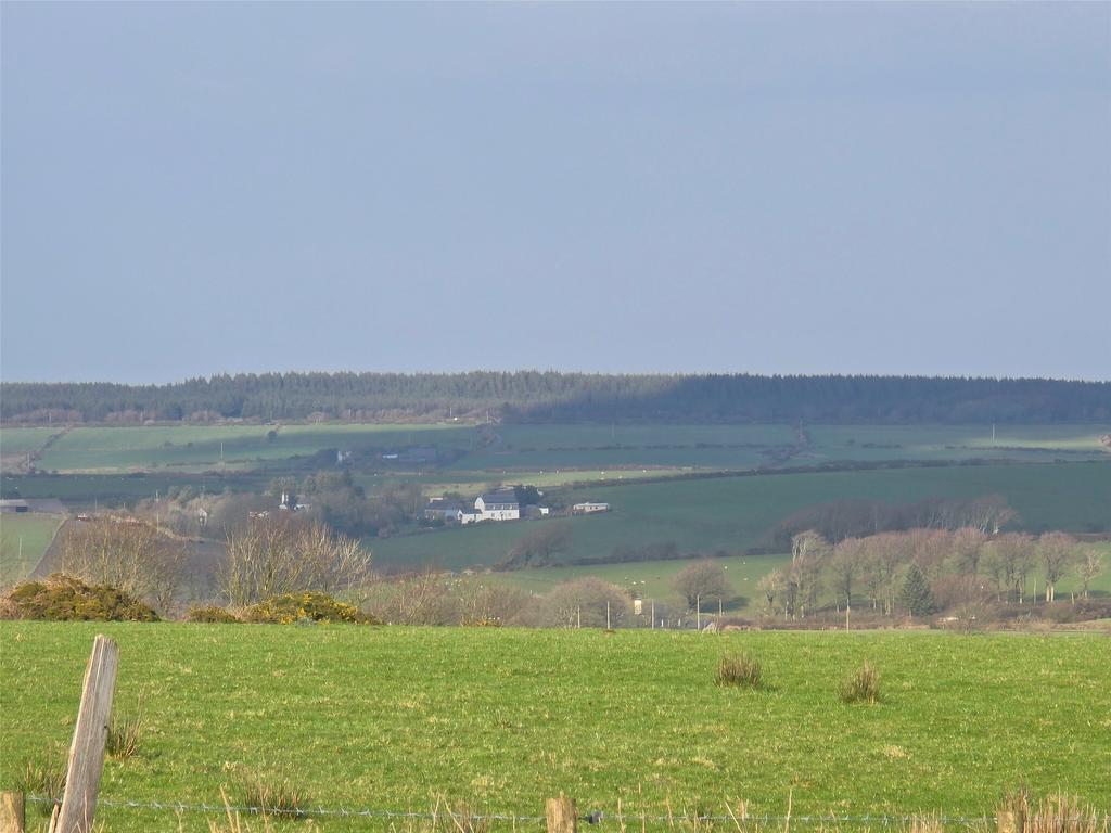 Picture No. 13