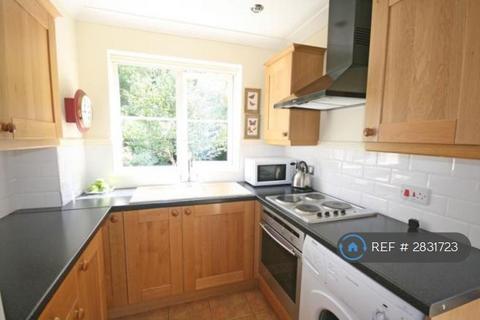 2 bedroom semi-detached house to rent, Little Dell, Welwyn Garden City, AL8