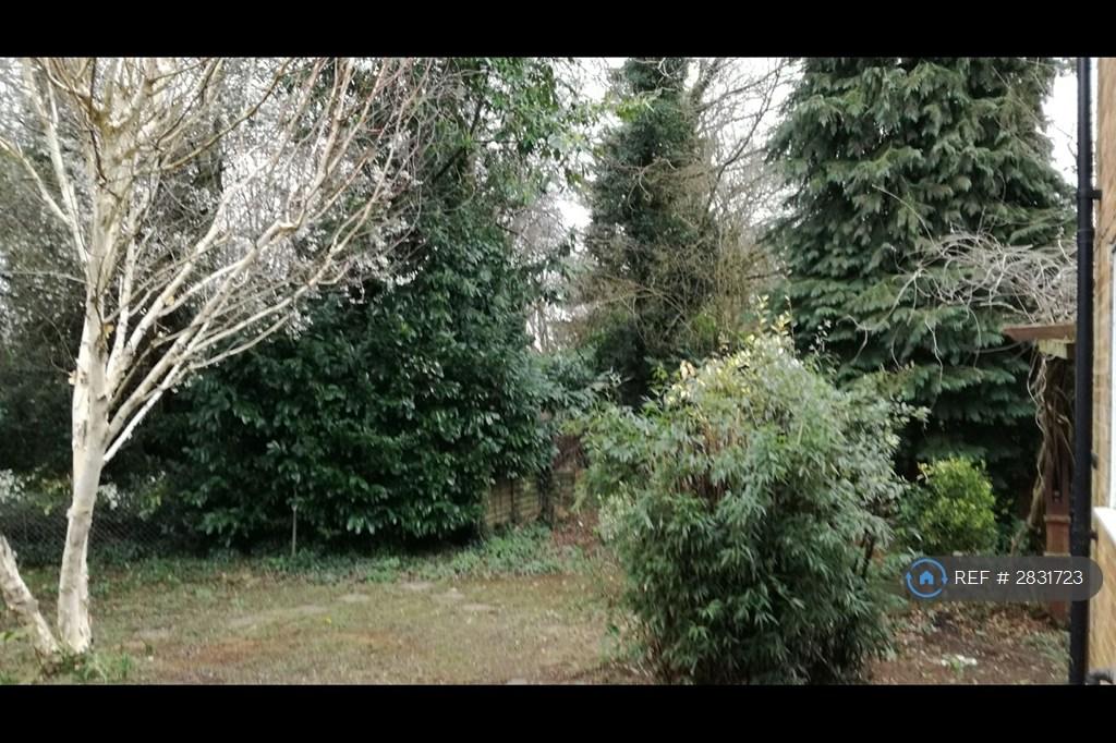 Large Garden