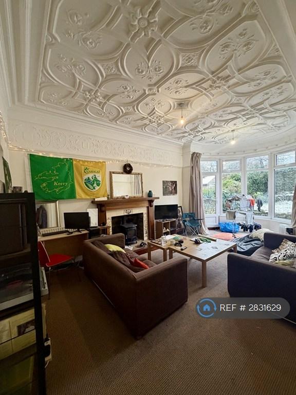 Large Living Room