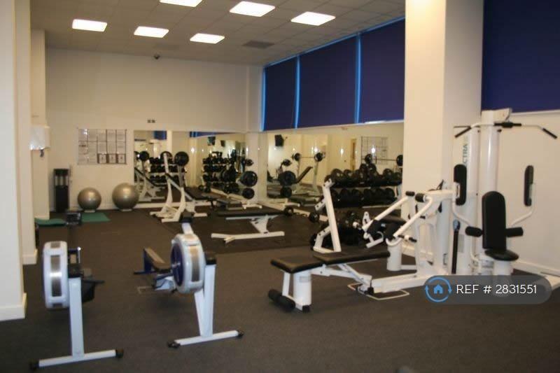Gym Free